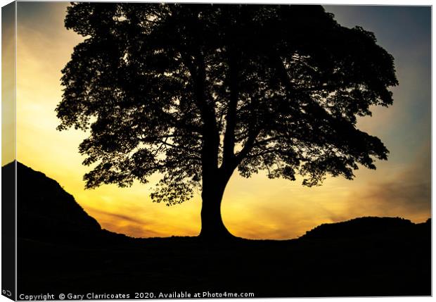 Sycamore Gap Silhouette Canvas Print by Gary Clarricoates