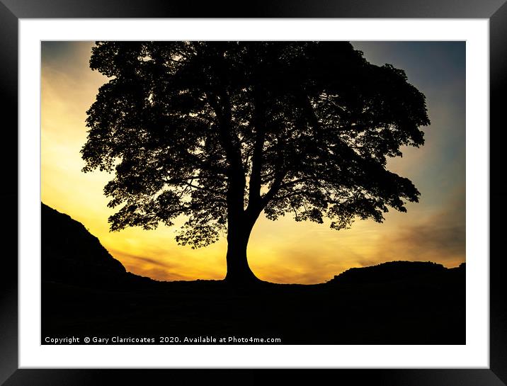 Sycamore Gap Silhouette Framed Mounted Print by Gary Clarricoates
