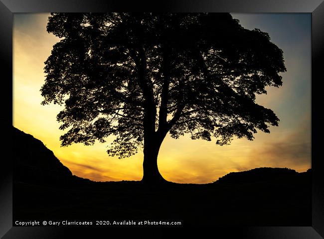 Sycamore Gap Silhouette Framed Print by Gary Clarricoates