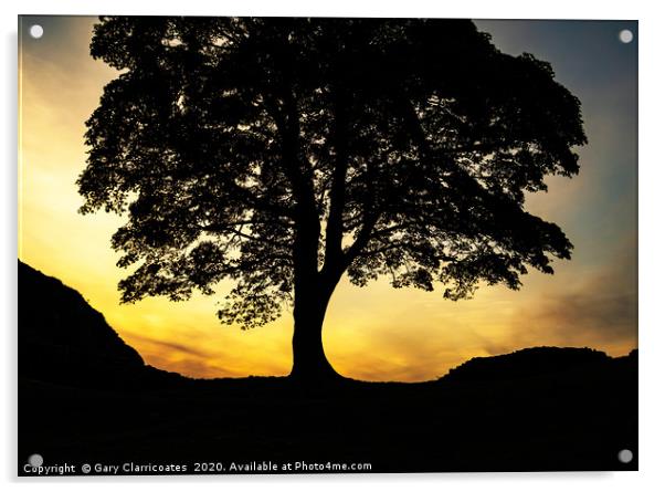 Sycamore Gap Silhouette Acrylic by Gary Clarricoates