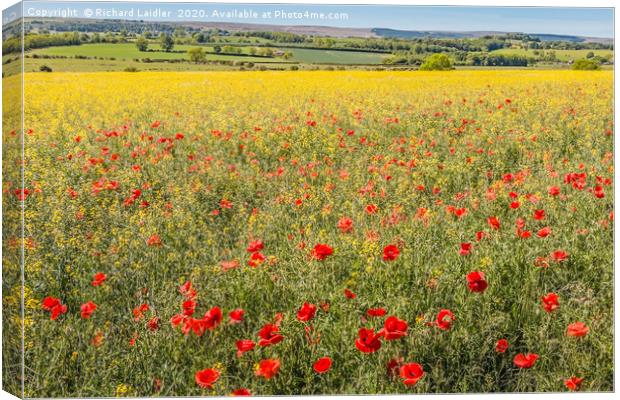 Over Poppies and Rape towards The Stang Canvas Print by Richard Laidler