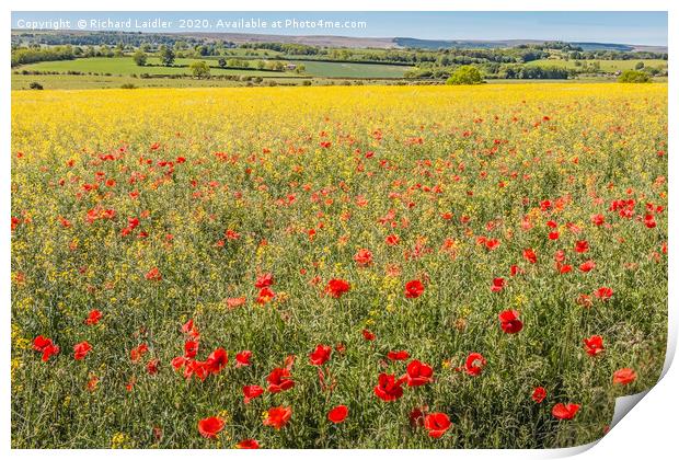 Over Poppies and Rape towards The Stang Print by Richard Laidler