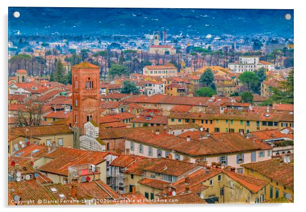 Aerial View Historic Center of Lucca, Italy Acrylic by Daniel Ferreira-Leite