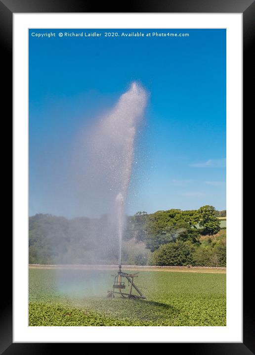 Watering the Spuds Framed Mounted Print by Richard Laidler