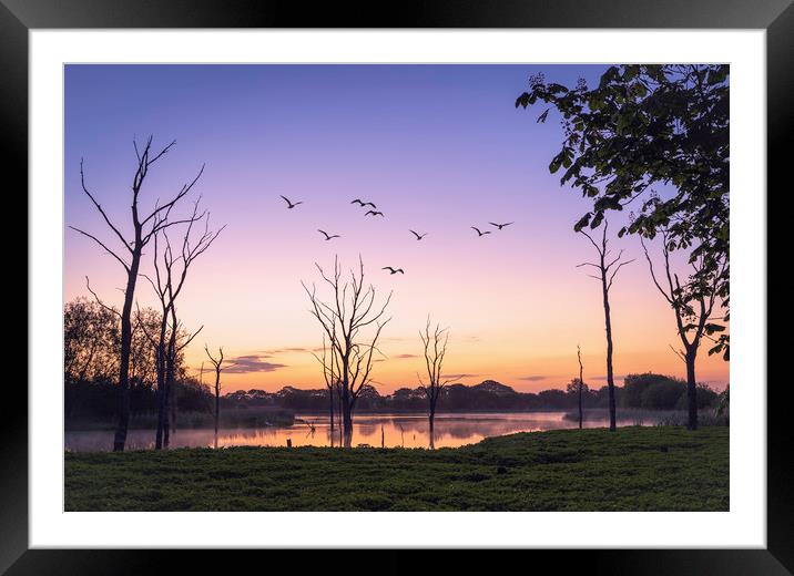 Arcot Pond, Cramlington Framed Mounted Print by Paul Appleby