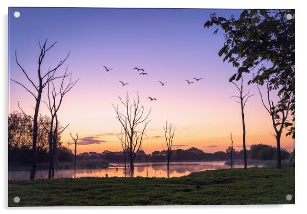 Arcot Pond, Cramlington Acrylic by Paul Appleby