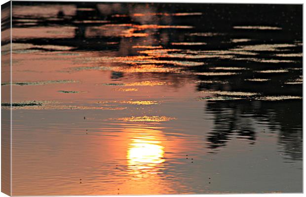 The Sun's Reflection Canvas Print by kelly Draper