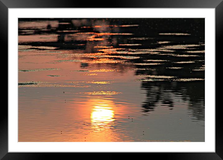 The Sun's Reflection Framed Mounted Print by kelly Draper