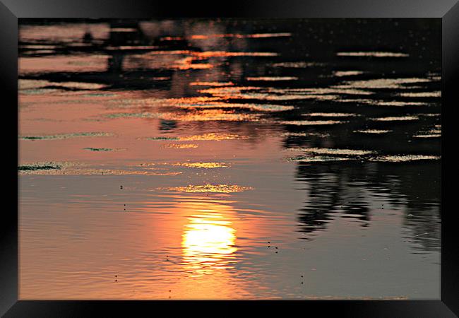 The Sun's Reflection Framed Print by kelly Draper