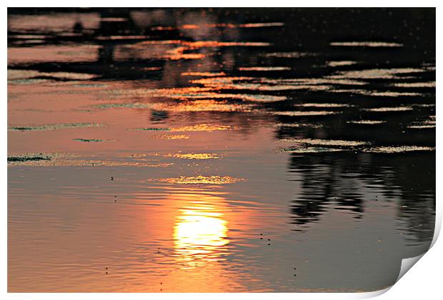 The Sun's Reflection Print by kelly Draper