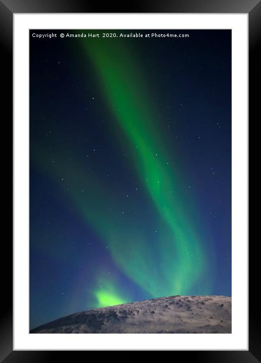 Aurora Borealis and Ursa Major, Norway Framed Mounted Print by Amanda Hart