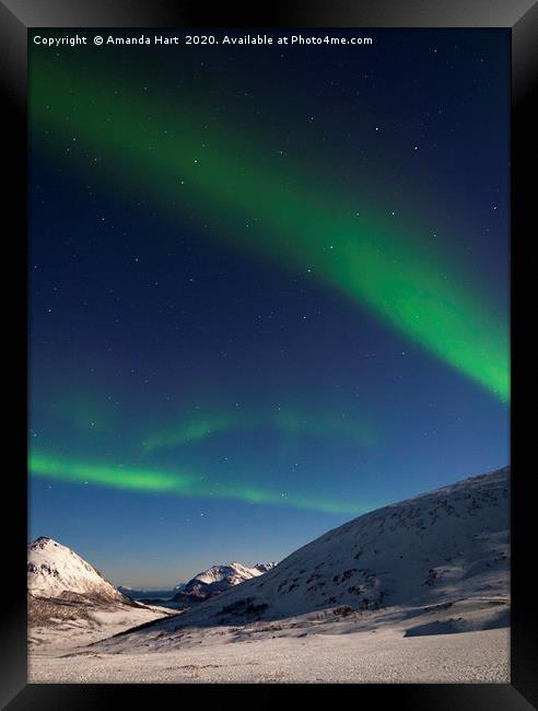 Aurora Borealis and Ursa Major, Norway Framed Print by Amanda Hart