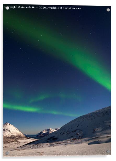 Aurora Borealis and Ursa Major, Norway Acrylic by Amanda Hart