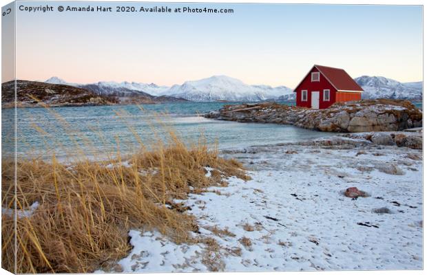 Red Hut by the Sea in Norway Canvas Print by Amanda Hart