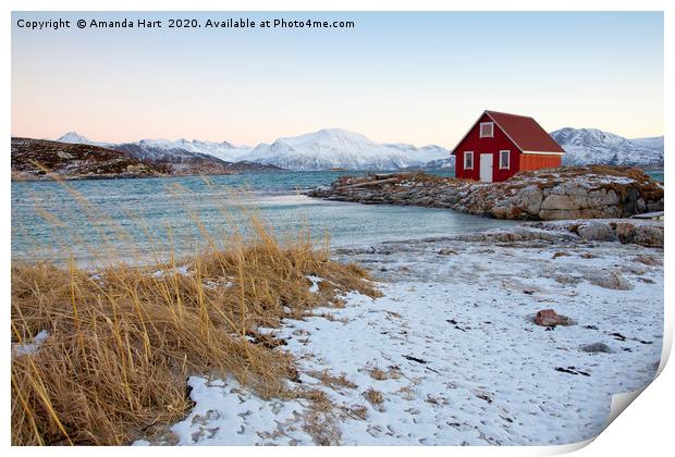 Red Hut by the Sea in Norway Print by Amanda Hart