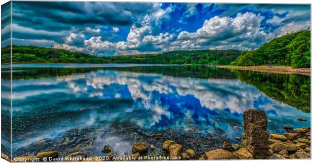 Tranquil Reflections Canvas Print by David Whitehead
