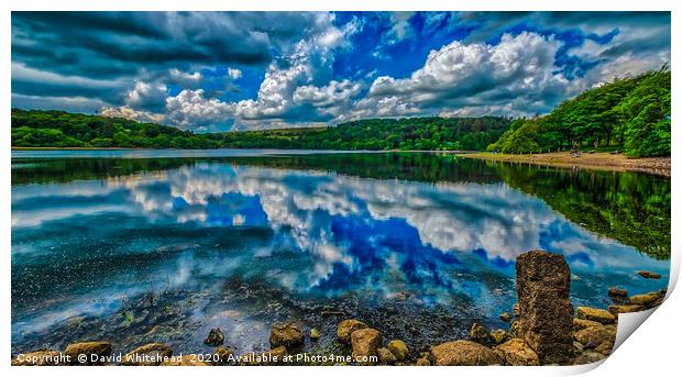 Tranquil Reflections Print by David Whitehead