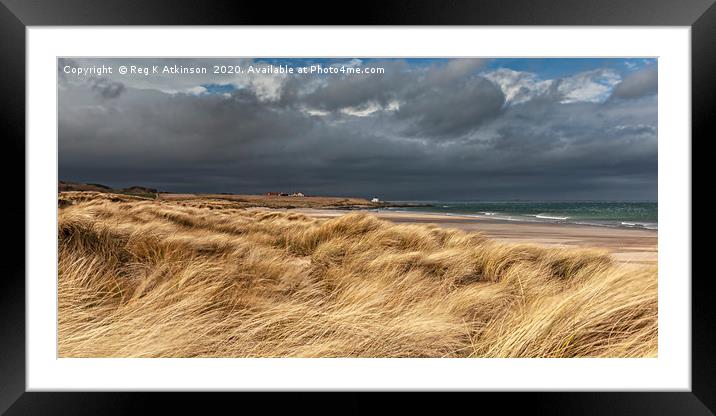 Stormy Bamburgh Beach Framed Mounted Print by Reg K Atkinson