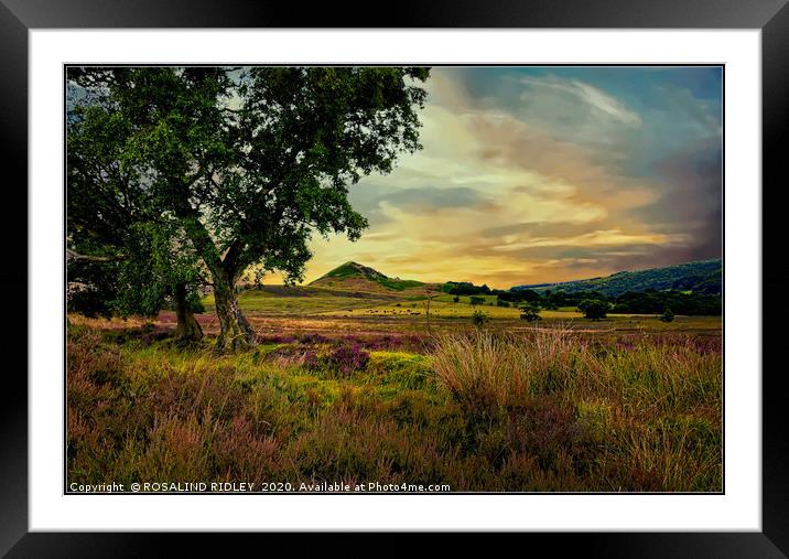 "Evening light across the moors" Framed Mounted Print by ROS RIDLEY