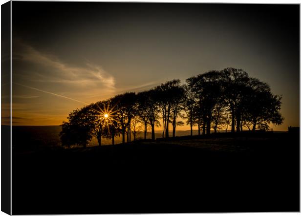 Sunset at the Elephant Trees, Menston, Yorkshire Canvas Print by Robin Dearden