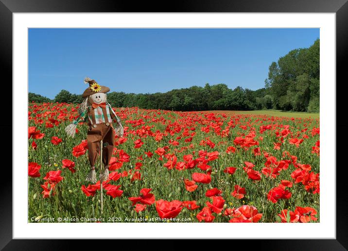 Scarecrow In Poppy Field  Framed Mounted Print by Alison Chambers
