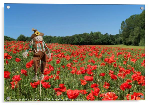 Scarecrow In Poppy Field  Acrylic by Alison Chambers