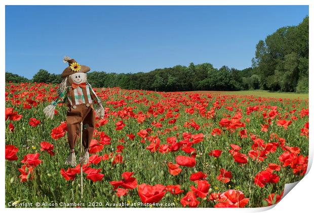 Scarecrow In Poppy Field  Print by Alison Chambers