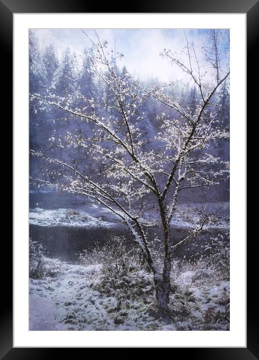 Snow Flowers Whimsy Framed Mounted Print by Belinda Greb