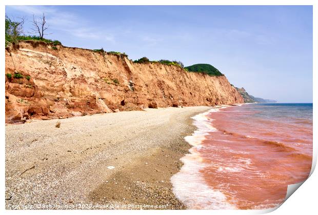 Red Sea of Sidmouth Print by Rob Hawkins