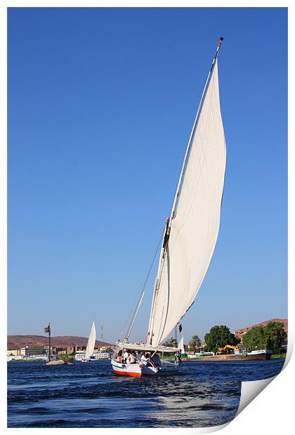 Sailing On The Nile Print by CJ Barnard