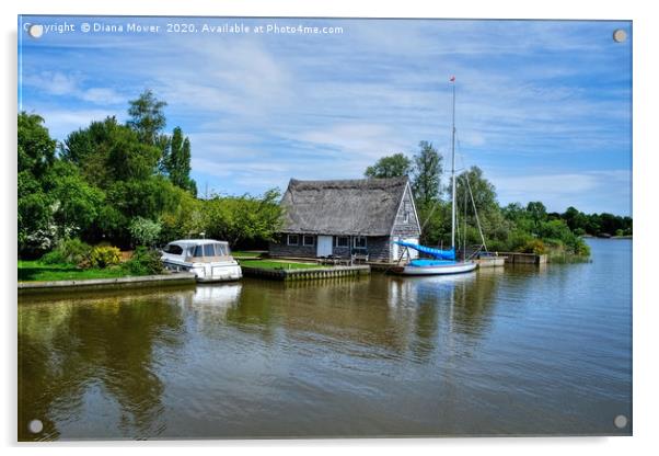 The River Waveney Suffolk Norfolk Border Acrylic by Diana Mower