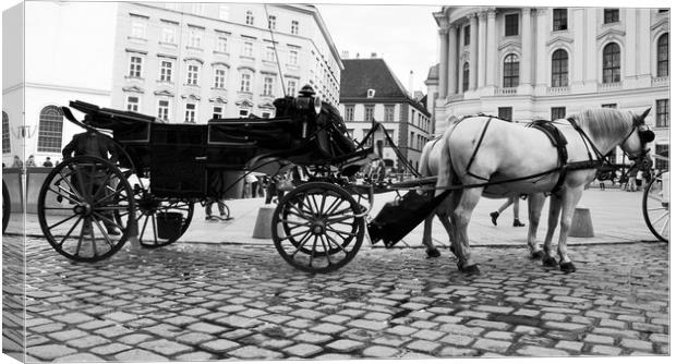 Vienna street attraction, horse-drawn carriage thr Canvas Print by M. J. Photography