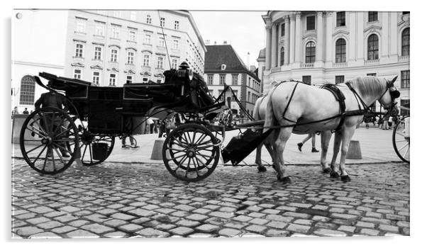 Vienna street attraction, horse-drawn carriage thr Acrylic by M. J. Photography