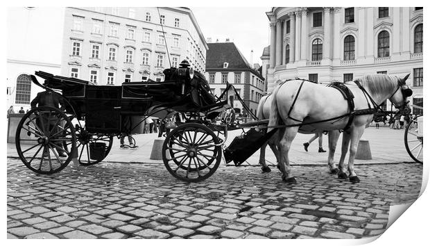 Vienna street attraction, horse-drawn carriage thr Print by M. J. Photography