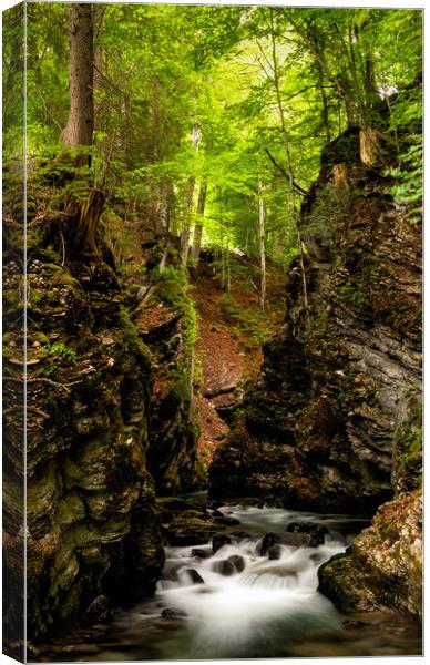 Thur Creek in Toggenburg Valley in the Swiss Alps Canvas Print by DiFigiano Photography