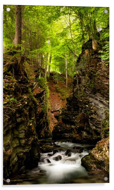 Thur Creek in Toggenburg Valley in the Swiss Alps Acrylic by DiFigiano Photography