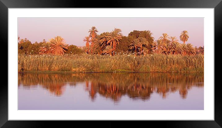 Nile Reflections Framed Mounted Print by CJ Barnard