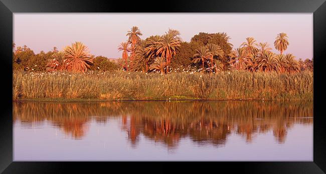 Nile Reflections Framed Print by CJ Barnard