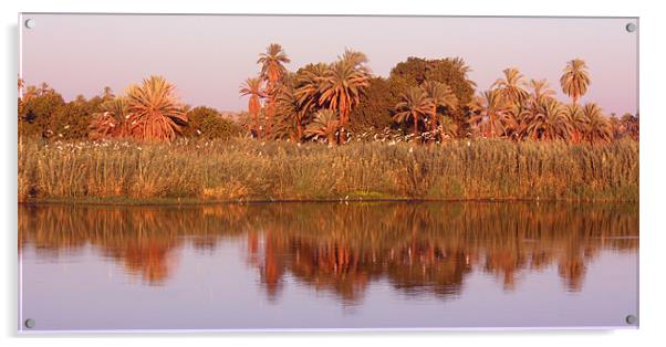 Nile Reflections Acrylic by CJ Barnard