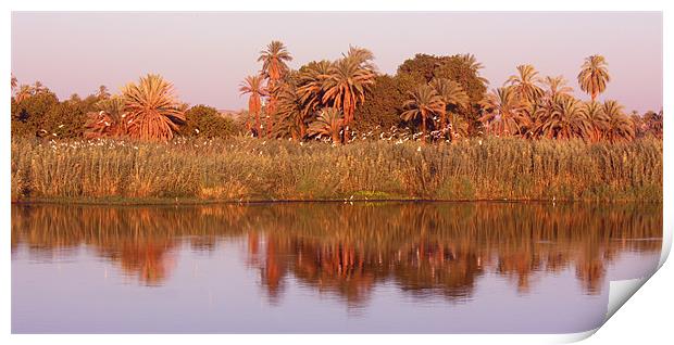 Nile Reflections Print by CJ Barnard