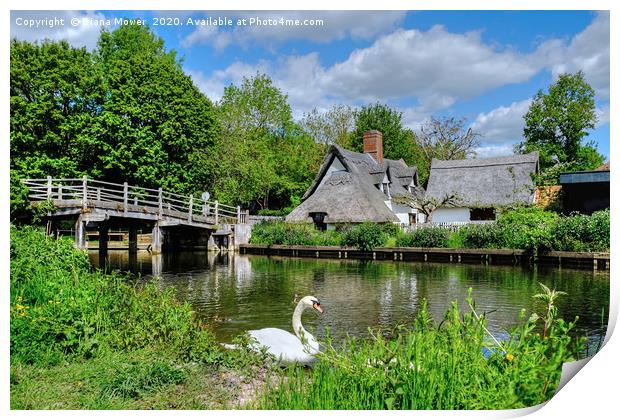 Flatford Cottage on the Stour Print by Diana Mower