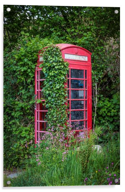Abandoned British phone booth Acrylic by Leighton Collins