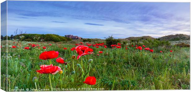 Bamburgh castle poppies. Canvas Print by John Carson