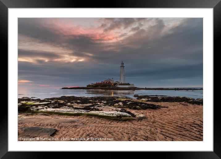 St Mary's lighthouse at sunrise Framed Mounted Print by Marcia Reay