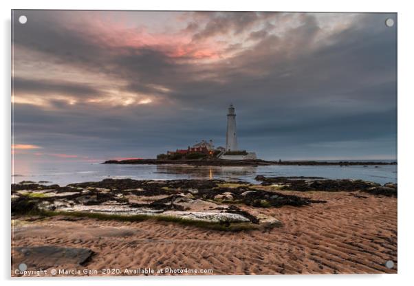 St Mary's lighthouse at sunrise Acrylic by Marcia Reay