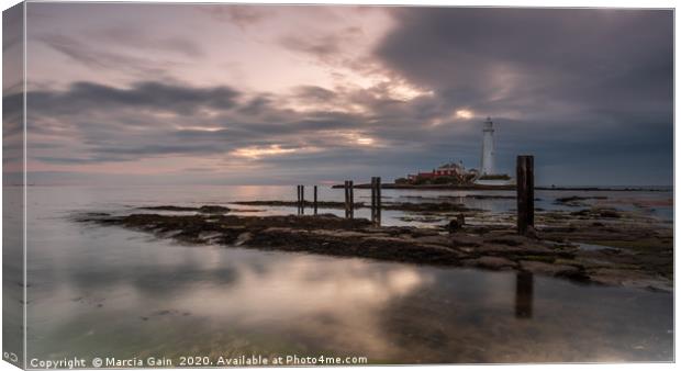 Sunrise at St Mary's lighthouse Canvas Print by Marcia Reay
