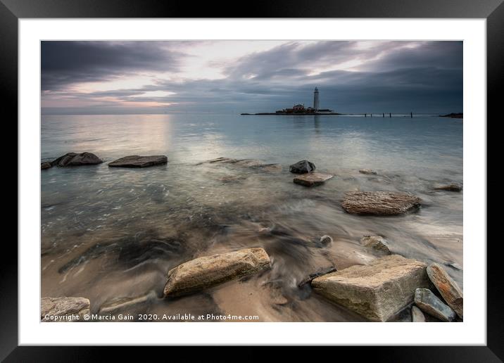 St Mary's lighthouse sunrise Framed Mounted Print by Marcia Reay