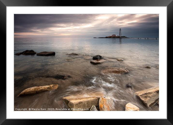 St Mary's lighthouse at sunrise Framed Mounted Print by Marcia Reay