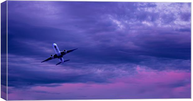 Evening Take Off Canvas Print by Colin Metcalf