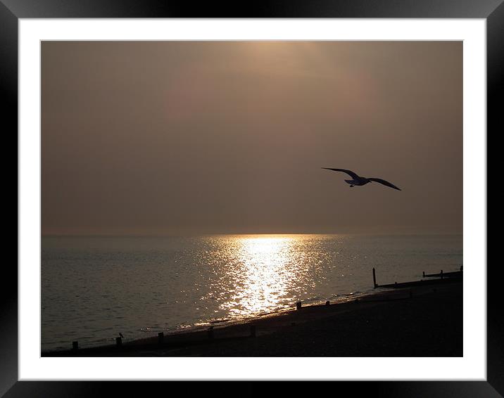 Sun Going Down Framed Mounted Print by Jules Camfield